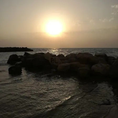 Mediterraneo A Casa Vostra *